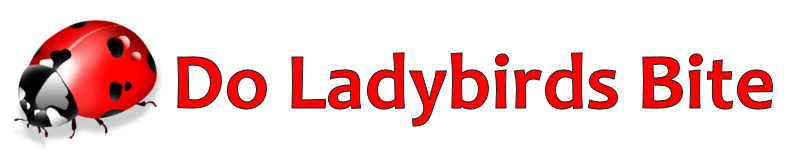 do ladybirds bite